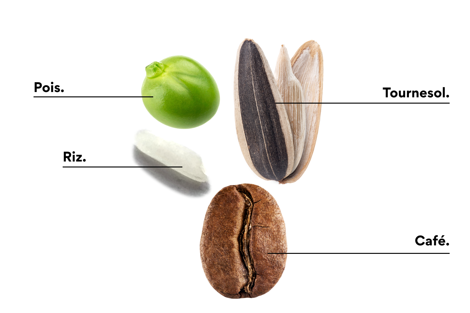 #ingredients