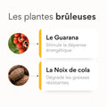 Coupe faim. 
