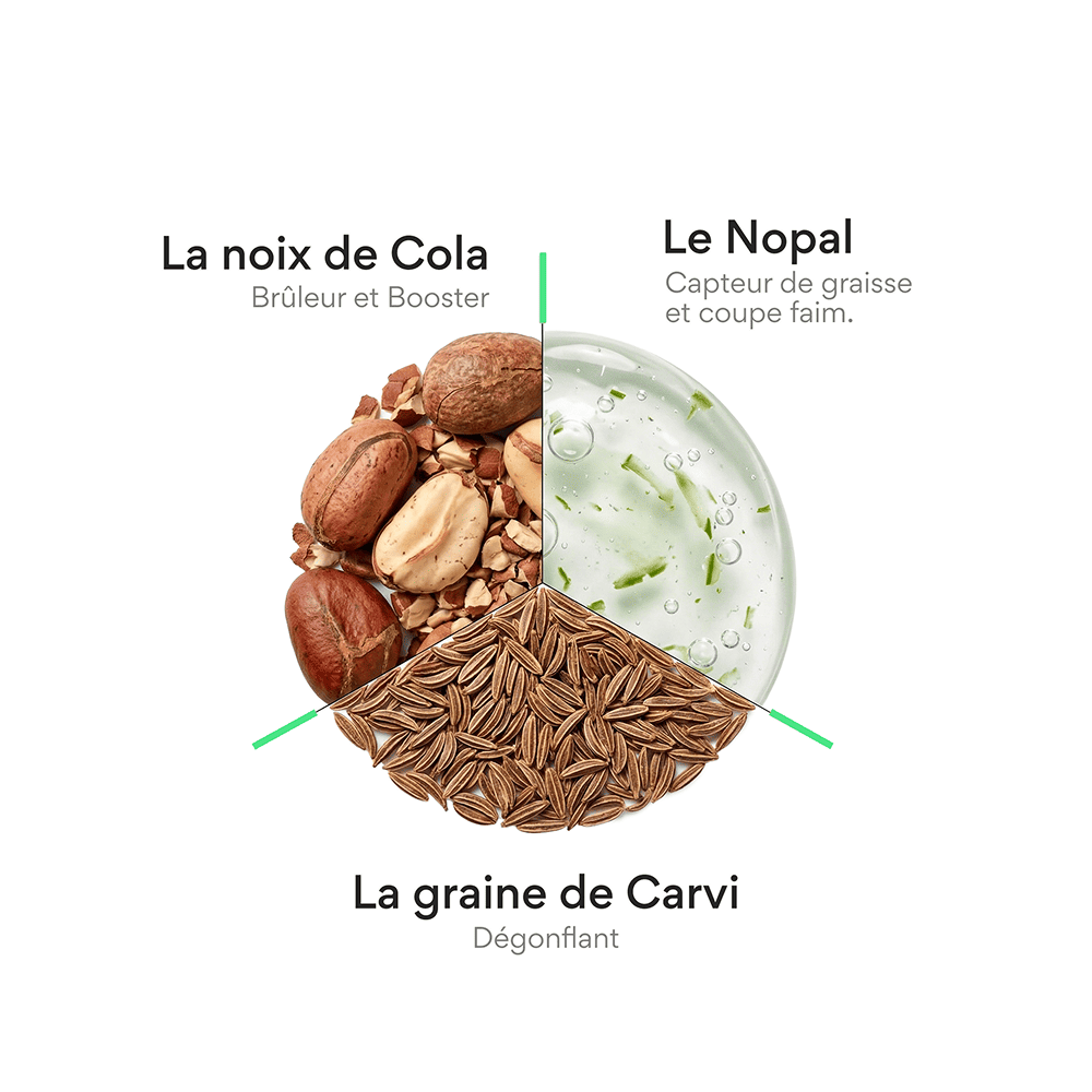 Probiotiques minceur. (boites de 15 gélules gastro-résistantes / Light)