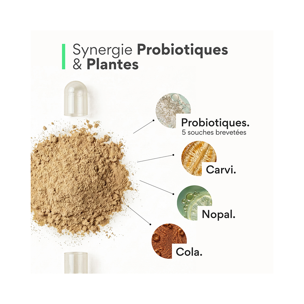 Probiotiques minceur. (boites de 15 gélules gastro-résistantes / Light)